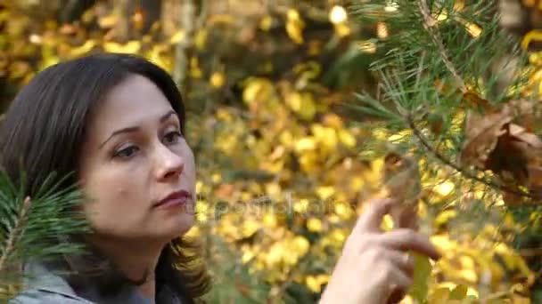 Une fille marche dans le parc à l'automne . — Video