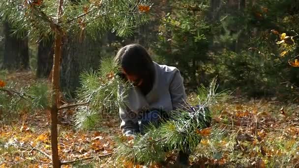 Een meisje is wandelen in het park in de herfst. — Stockvideo