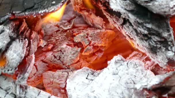 Calore nel fuoco . — Video Stock