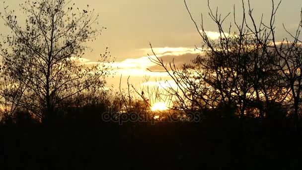 Zonsondergang in de late herfst. — Stockvideo