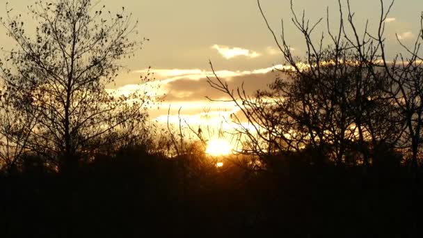 Zonsondergang in de late herfst. — Stockvideo