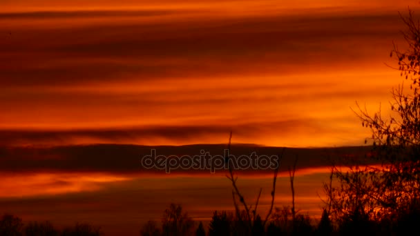 Puesta Sol Naranja Una Hermosa Noche Otoño Ramas Árboles Desnudos — Vídeo de stock