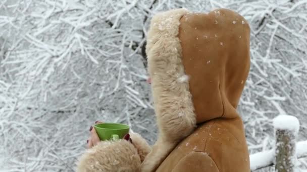 En flicka med en kopp te ser på den fallande snön på vintern. Snöfall. Vackra vinter. — Stockvideo