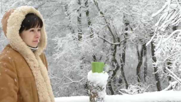 Uma menina com uma xícara de chá olha para a queda de neve no inverno. Uma forte queda de neve. Belo inverno . — Vídeo de Stock