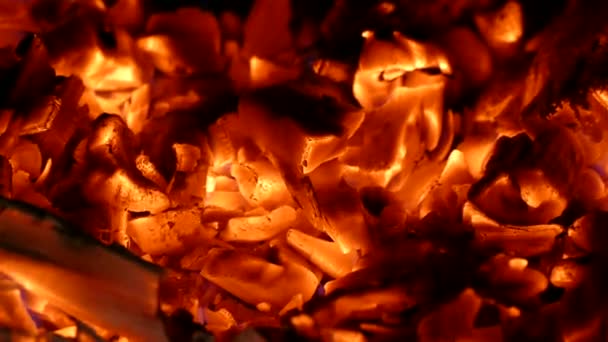 高温の炭。暖炉の熱。薪を熱します。暖炉を火します。. — ストック動画
