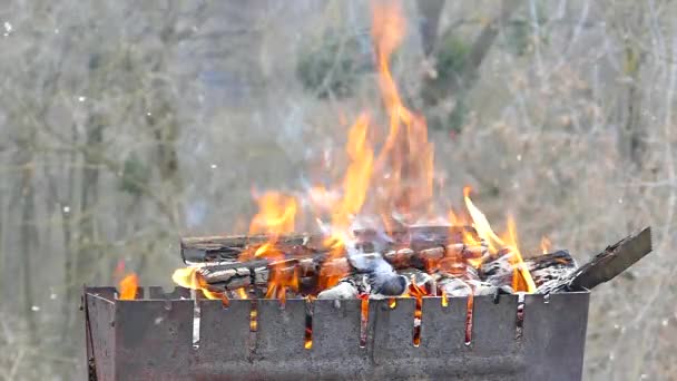 Burned Firewood Grill Burning Coal Fire Heat Fireplace Picnic