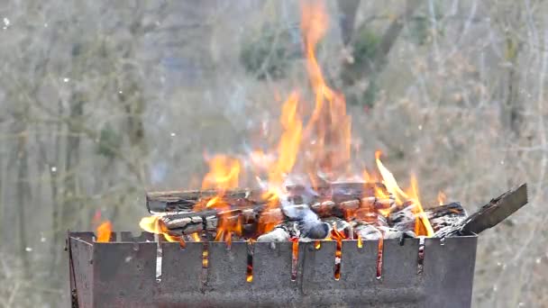 Bois Chauffage Brûlé Dans Gril Brûler Charbon Dans Feu Chaleur — Video