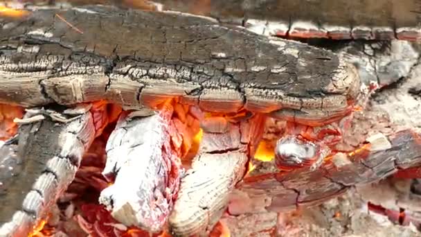 Leña Quemada Parrilla Quemando Carbón Incendio Calor Chimenea Picnic Invierno — Vídeo de stock