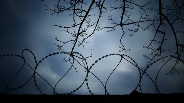 Taggtråd Stängsel Stängt Territorium Hemlig Anläggning Fängelse Eller Fängelse — Stockvideo