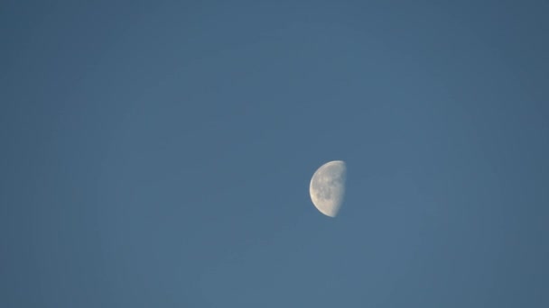 La luna se mueve contra el cielo azul . — Vídeos de Stock