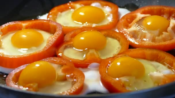 La cena de los huevos y el pimiento rojo se cuece en la sartén. Una hermosa cena de huevos de verdura y pimiento . — Vídeo de stock