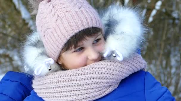 Menina Bonita Sorrindo Uma Menina Caminha Inverno Brinca Com Neve — Vídeo de Stock