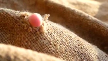 Çantayı delik. Kumaş delikte. Gizli delik. Parmak delik.