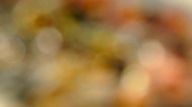 Bir kutu içinde pizza teslimi. Lezzetli sulu ve güzel pizza yuvarlak bıçakla kesilir. Aile mantar, zeytin, peynir ve domates pizza yiyor.