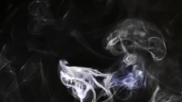 Mooie Grijze Rook Een Zwarte Achtergrond Sigarettenrook Rook Van Hookah — Stockvideo