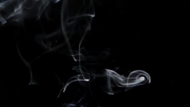 Vacker Grå Rök Svart Bakgrund Cigarettrök Rök Från Horan Rökturbulens — Stockvideo