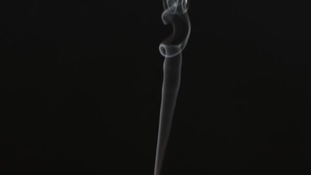 Piękny Szary Dym Czarnym Tle Dym Papierosowy Dym Hookah Turbulencje — Wideo stockowe