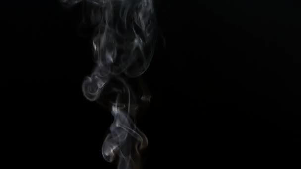Vacker Grå Rök Svart Bakgrund Cigarettrök Rök Från Horan Rökturbulens — Stockvideo