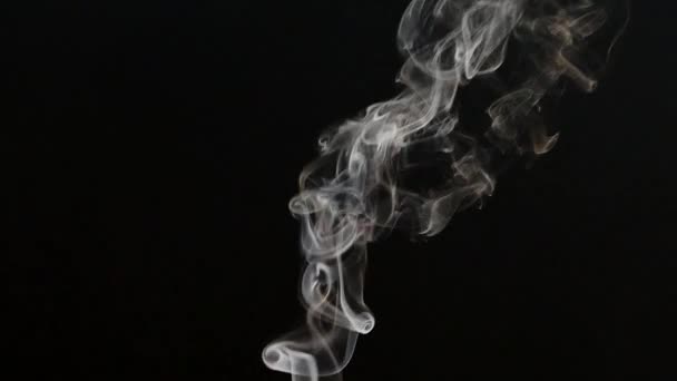 Hermoso Humo Gris Sobre Fondo Negro Humo Cigarrillo Humo Cachimba — Vídeo de stock