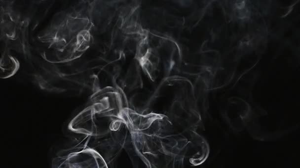Belle fumée grise sur fond noir. Fumée de cigarette. Fumée par le narguilé. Turbulence de fumée. La vapeur blanche monte. La fumée vole lentement . — Video