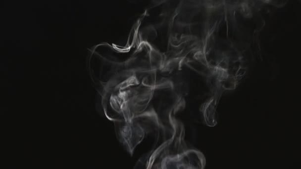 Hermoso humo gris sobre un fondo negro. Humo de cigarrillo. Humo de la cachimba. Turbulencia de humo. El vapor blanco sube. El humo vuela lentamente . — Vídeo de stock