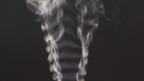 Hermoso humo gris sobre un fondo negro. Humo de cigarrillo. Humo de la cachimba. Turbulencia de humo. El vapor blanco sube. El humo vuela lentamente . — Vídeos de Stock