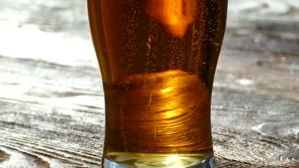 Пиво Наливают Стакан Легкий Слабоалкогольный Напиток Желтого Цвета Красивые Пузырьки — стоковое видео