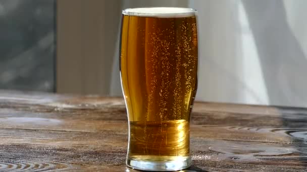 Cerveza Vierte Vaso Vidrio Bebida Ligera Baja Alcohol Color Amarillo — Vídeos de Stock