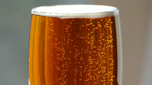 Bière Est Versée Dans Verre Boisson Légère Faible Teneur Alcool — Video