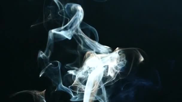 Ein schöner grauer Rauch fliegt langsam durch den Raum. Zigarettenrauch auf schwarzem Hintergrund. Dampf steigt auf. strukturierter Nebel. — Stockvideo