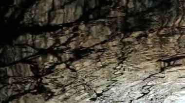 Suyun üzerindeki ağaçların yansıması. Nehirde siyah su parlıyor. Dalgalar kıyıda yüzüyor. Sudaki doku.