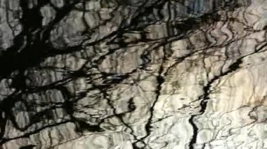 Suyun üzerindeki ağaçların yansıması. Nehirde siyah su parlıyor. Dalgalar kıyıda yüzüyor. Sudaki doku.