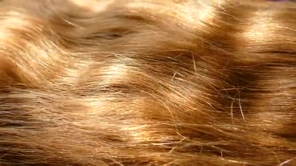 Přírodní Krásné Vlnité Vlasy Dívka Hnědovlasá Hřeben Vlasy Vlasů — Stock video