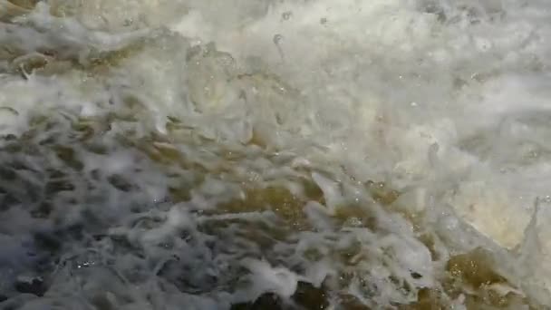 Vloed van water overstromingen. Potige en vloeiende modderig water. Lente-overstroming. — Stockvideo