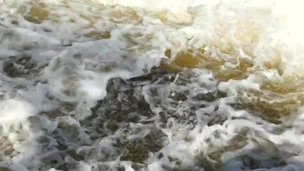Vloed van water overstromingen. Potige en vloeiende modderig water. Lente-overstroming. — Stockvideo
