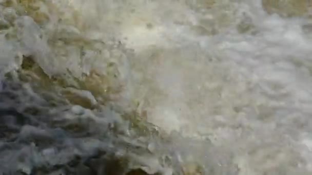 Vloed van water overstromingen. Potige en vloeiende modderig water. Lente-overstroming. — Stockvideo