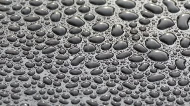 Siyah bir yüzeyde güzel su damlaları. Suyun yoğunluğu karanlık bir düzlemde toplandı. Çiğ tanesinin yansıması.