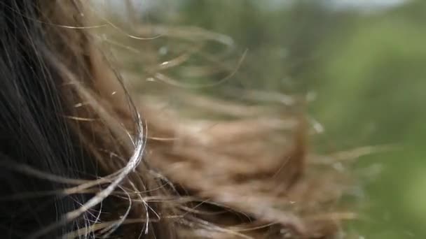 Hair winds the wind. Girls hair under the sun on a green background. — Stock Video