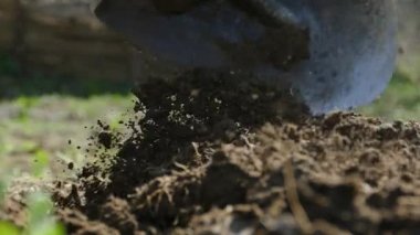 Kürekle toprak kazmak. O Bahçe tarımda çalışmaktadır. Bitkiler ve sebze dikim için toprak hazırlanması. Çiftçi çalışıyor. Bakire toprak yok.