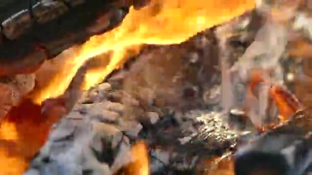 Burning Wood Close Charcoal Ashes Fire Bonfire Nature Remnants Fire — Stock Video