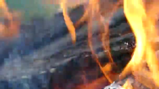 烧木料特写 炭灰熊熊燃烧 自然界的篝火 大火的残留物 — 图库视频影像