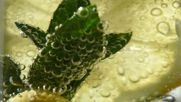 Frissítő Mojito Koktél Alkoholmentes Üdítő Citrommentával Szénsavas Víz Üvegben — Stock videók