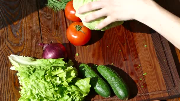 Cortar Vegetais Numa Tábua Corte Cozinha Costeletas Cozinha Cebolas Verdes — Vídeo de Stock