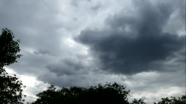 A cloudy day. Gray clouds quickly move across the sky against the background of the forest and trees. — Stock Video