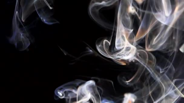 Belo fumo sobre um fundo preto. Textura fumegante. Vapor sobe . — Vídeo de Stock