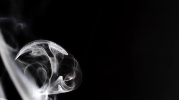 Belo fumo sobre um fundo preto. Textura fumegante. Vapor sobe . — Vídeo de Stock