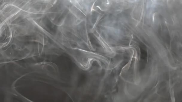 Smoke Curls Nicely Slowly Rises Smoke Screensaver Video Texture Dense — Stock Video