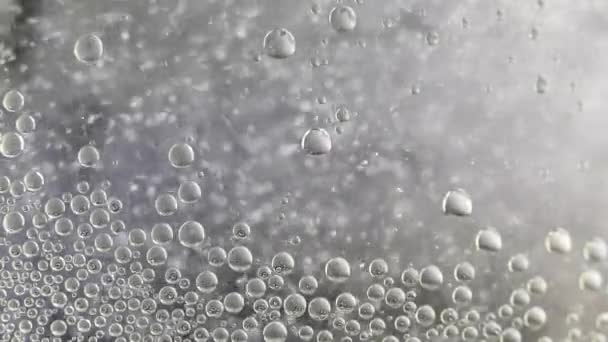 Kookwater Luchtbellen Drijven Een Vloeistof Zwart Witte Textuur — Stockvideo