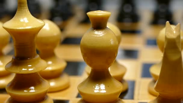 체스의 대회와 레슬링 스마트 움직임 — 비디오