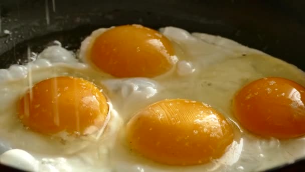 Los Huevos Pollo Fríen Una Sartén Almuerzo Huevos Cocine Desayuno — Vídeos de Stock